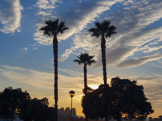 Silueta de palmeras sobre fondo de cielo azul con nubes que reflejan el sol al atardecer