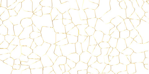 Abstract white crystalized broken glass background .black stained glass window art vector background . broken stained glass golden lines geometric pattern .