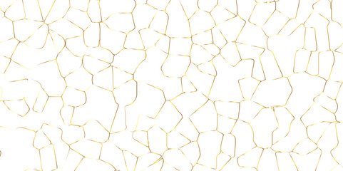 Abstract white crystalized broken glass background .black stained glass window art vector background . broken stained glass golden lines geometric pattern .