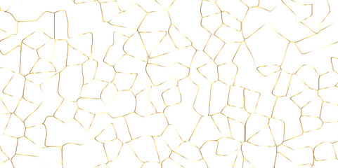 Abstract white crystalized broken glass background .black stained glass window art vector background . broken stained glass golden lines geometric pattern . - obrazy, fototapety, plakaty