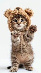 A cute kitten wearing a bear hat is looking at the camera. The hat is brown and has a furry texture. The kitten's eyes are bright and curious, and its whiskers are twitching