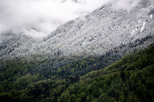 Schnee im Fr&uuml;hling mit klarer Schneefallgrenze