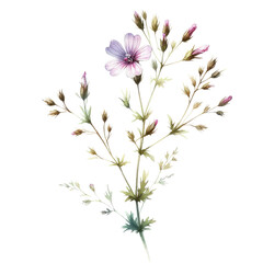 Tiny Flowers Clipart Illustration