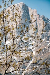autumn in the mountains