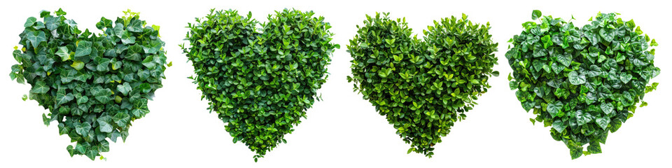Set of heart shape green bush cutout clipping path png isolated on white or transparent background