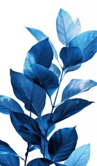 Blue leaves and white color background pattern.
