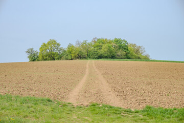 Rural road between a meadow and a plowed field, view on a cloudy spring day,