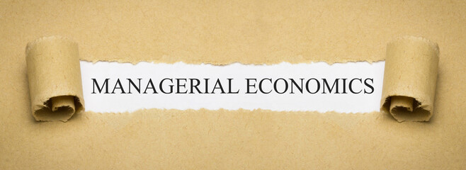 Managerial Economics