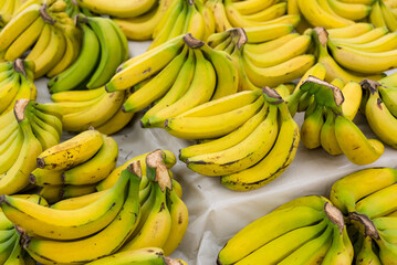 Banana sell in the fruit store in the market
