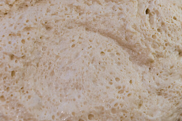 Yeast dough, close-up. Backgrounds and textures.
