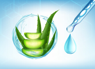 Glass pipette with serum. Aloe vera plant. Skin care. Vector stock illustration