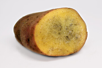 a cut of a potato tuber with black spots and streaks. The texture of a diseased potato tuber. Unsuitable for use in food and for planting. Selective focus. Dirty background