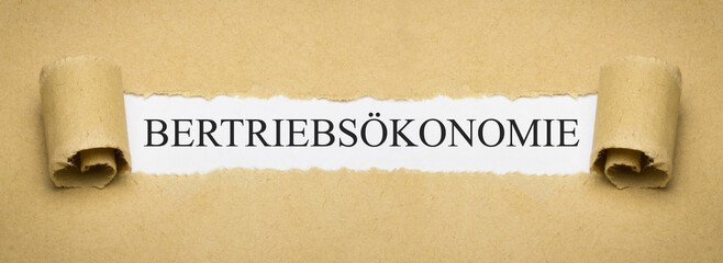 Betriebsökonomie