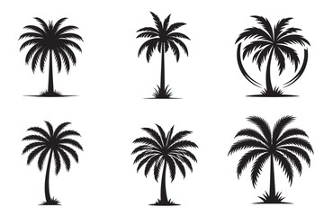 Palm Tree Silhouette Black And White Vector Art Illustration Set