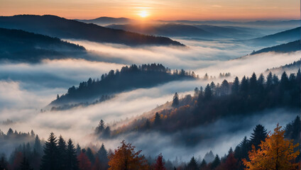 Mystical Autumn Fog in Black Forest, Autumnal Trees, and Firs - Generative AI