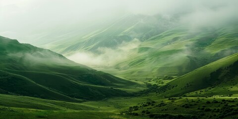 A lush green valley with a foggy mountain in the background. The valley is full of trees and the sky is cloudy