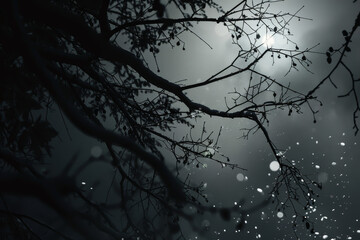 A tree branch is silhouetted against a dark sky. Scene is somber and contemplative