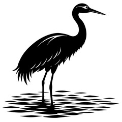 Fototapeta premium The crane in water silhouette black color on white background