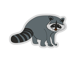Mapache Boreal