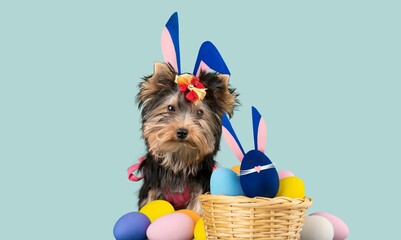 Cute puppy with colored Easter eggs.