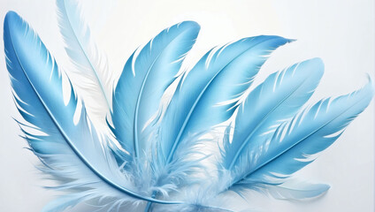 Beautiful Abstract Light Blue Feathers on White Background