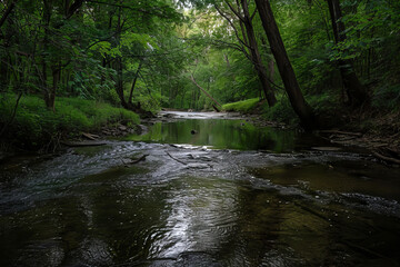 Obraz premium A stream of water is flowing through a forest. The water is dark and the trees are green