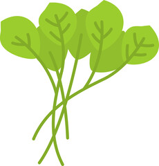 Microgreen Plants Illustration