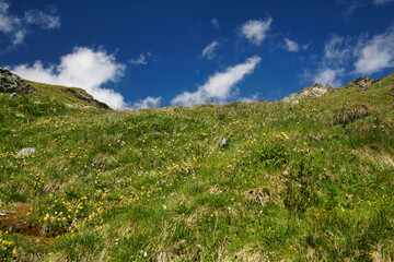 Trail to Arolla in the Pennine Alps, Switzerland.