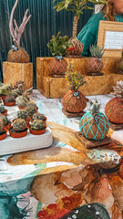 Lanzarote island: beach, sunset, street, cactus garden, Volcanos