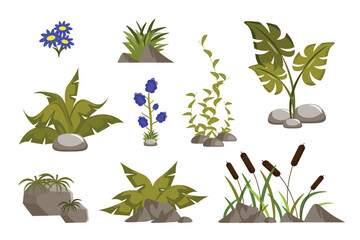 Vector illustration of beautiful landscape elements.Cartoon scene of various plants with stones: green grass, leaves, reeds, reeds, kelp, banana leaves, monstera, flowers isolated on white background.