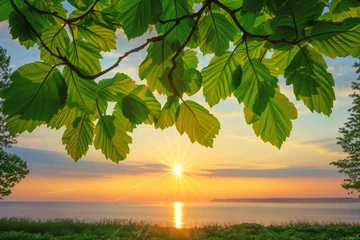 Foto op Canvas Beautiful green leaves frame a sunset background with the sun and sea in the summer time © Florian