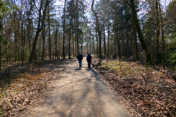 Ein Mann und eine Frau wandern mit Stöcken im Wald bei Iffezheim