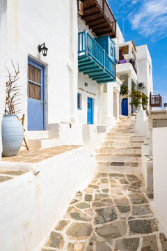 White houses in narrow alley of traditional Kastro village with palm tree in background, Sifnos island, Greece
