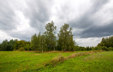 Fototapeta na wymiar Rural landscape in summer day. Latvia, East Europe.