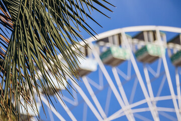 Ferris wheel and palm leaves, in Nice, South of France