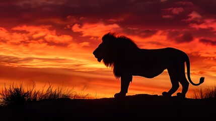 Obraz na płótnie Canvas A majestic lion silhouette outlined against a fiery sunset sky, representing strength and courage in the wilderness.