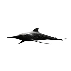 swordfish on a transparent background