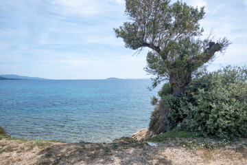 Fototapeta na wymiar Sithonia coastline near Kastri Beach, Chalkidiki, Greece