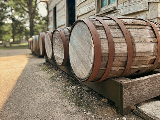 Aged Wooden Barrels Lined Up in a Row. A log cabin style home is in the background of view.