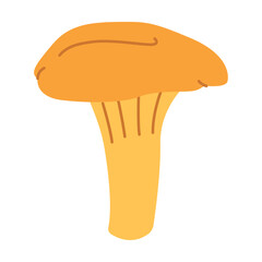 Chanterelle illustration. Edible chanterelle mushrooms. Yellow mushroom. Hand drawn trendy flat style. Doodle autumn forest harvest. Vector illustration