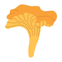 Chanterelle illustration. Edible chanterelle mushrooms. Yellow mushroom. Hand drawn trendy flat style. Doodle autumn forest harvest. Vector illustration