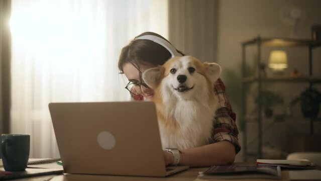 Smiling young woman freelancer having distance remote work typing browsing scrolling products in internet online store on laptop computer with cute little fluffy corgi dog pet at light home indoors
