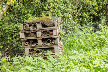 Wooden insect hotel, shelter for wild insects in forest reserve