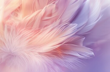 Close Up of White Feather on Purple Background