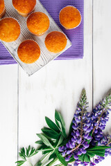 Delicious muffins and purple lupine flowers on white wooden background.