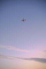 Airplane in the Sky
