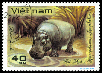 Vintage  postage stamp. Hippopotamus.