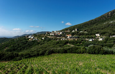Fototapeta na wymiar Frankreich - Korsika - Morsiglia
