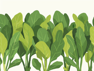 A stylized illustration of fresh bok choy with shades of green. - obrazy, fototapety, plakaty