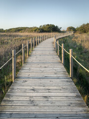 Walkways Barrinha of Esmoriz, situated between the municipalities of Espinho and Ovar, Portugal.